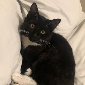 Meet your Posher, Rehma